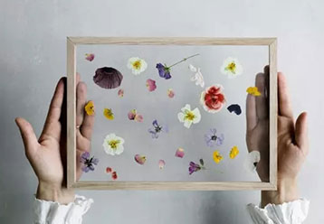花卉画框